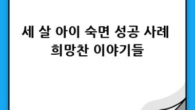 세 살 아이 꿀잠 프로젝트: 숙면 훈련 완벽 가이드